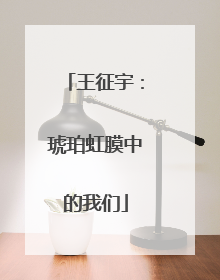 王征宇：琥珀虹膜中的我们