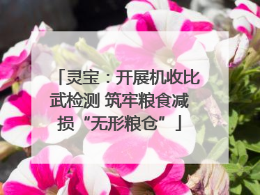 灵宝：开展机收比武检测 筑牢粮食减损“无形粮仓”