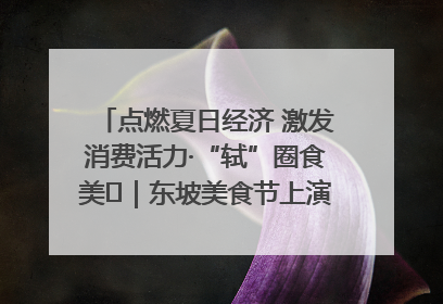 点燃夏日经济 激发消费活力·“轼”圈食美⑪｜东坡美食节上演“文化满汉全席”