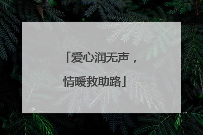 爱心润无声，情暖救助路