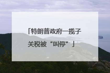 特朗普政府一揽子关税被“叫停”