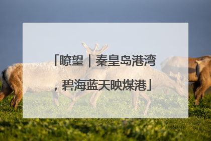 瞭望｜秦皇岛港湾，碧海蓝天映煤港