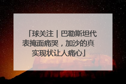 球关注｜巴勒斯坦代表掩面痛哭，加沙的真实现状让人痛心