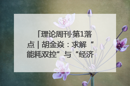 理论周刊·第1落点｜胡金焱：求解“能耗双控”与“经济增长”矛盾