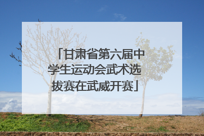 甘肃省第六届中学生运动会武术选拔赛在武威开赛