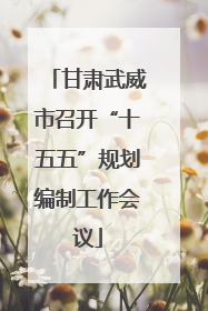 甘肃武威市召开“十五五”规划编制工作会议