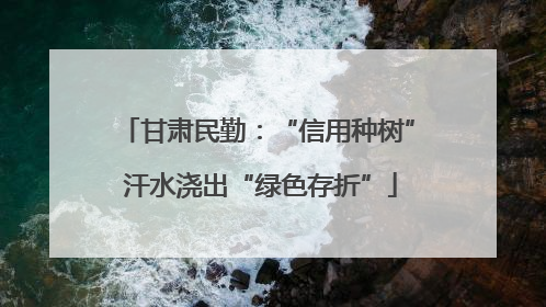 甘肃民勤：“信用种树” 汗水浇出“绿色存折”