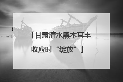 甘肃清水黑木耳丰收应时“绽放”