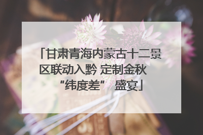 甘肃青海内蒙古十二景区联动入黔 定制金秋 “纬度差” 盛宴