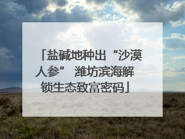 盐碱地种出“沙漠人参” 潍坊滨海解锁生态致富密码
