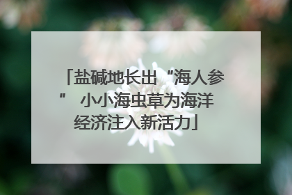 盐碱地长出“海人参” 小小海虫草为海洋经济注入新活力