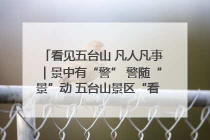 看见五台山 凡人凡事｜景中有“警” 警随“景”动 五台山景区“看得见”的平安守护