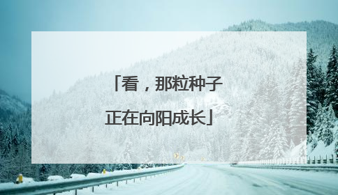看，那粒种子正在向阳成长