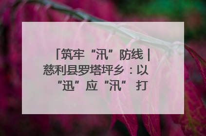筑牢“汛”防线｜慈利县罗塔坪乡：以“迅”应“汛” 打赢暴雨防御战