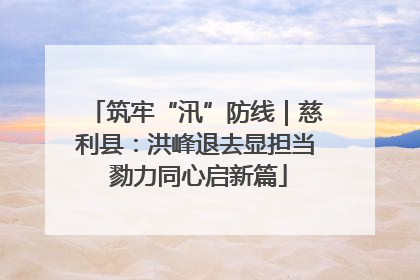 筑牢“汛”防线｜慈利县：洪峰退去显担当 勠力同心启新篇