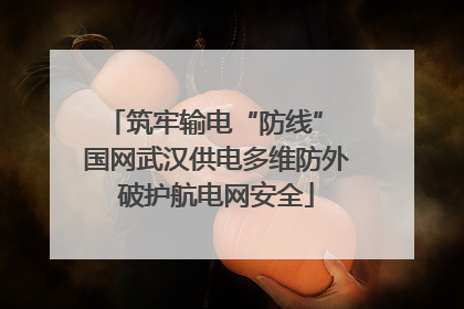 筑牢输电“防线” 国网武汉供电多维防外破护航电网安全