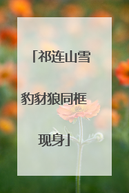 祁连山雪豹豺狼同框现身