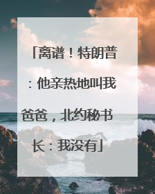 离谱！特朗普：他亲热地叫我爸爸，北约秘书长：我没有