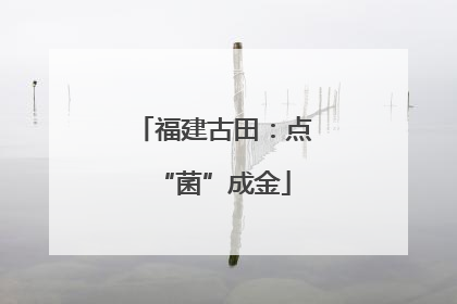福建古田：点“菌”成金