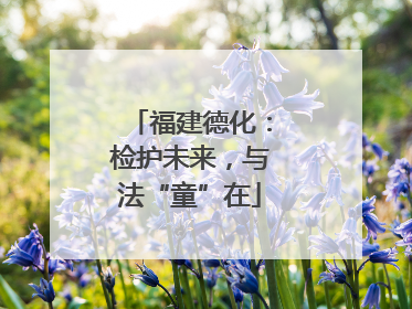 福建德化：检护未来，与法“童”在