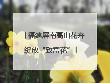 福建屏南高山花卉绽放“致富花”