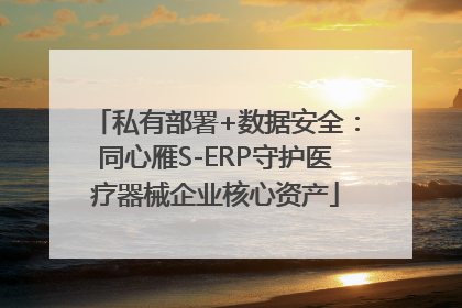 私有部署+数据安全：同心雁S-ERP守护医疗器械企业核心资产