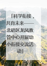 科学衔接，共育未来——北碚区龙凤教管中心开展幼小衔接交流活动