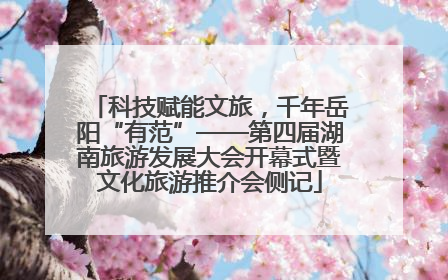 科技赋能文旅，千年岳阳“有范”——第四届湖南旅游发展大会开幕式暨文化旅游推介会侧记
