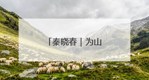 秦晓春｜为山东小麦育种安装“加速器”