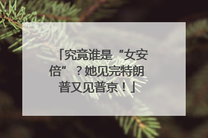 究竟谁是“女安倍”？她见完特朗普又见普京！