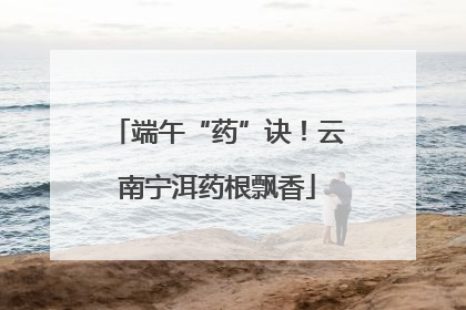 端午“药”诀！云南宁洱药根飘香