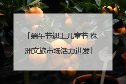 端午节遇上儿童节 株洲文旅市场活力迸发