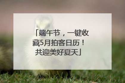 端午节，一键收藏5月拍客日历！共迎美好夏天