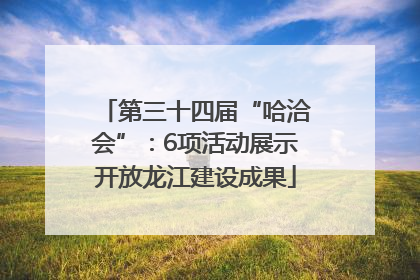 第三十四届“哈洽会”：6项活动展示开放龙江建设成果