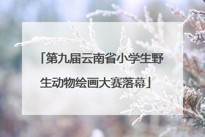 第九届云南省小学生野生动物绘画大赛落幕