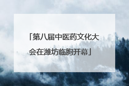 第八届中医药文化大会在潍坊临朐开幕