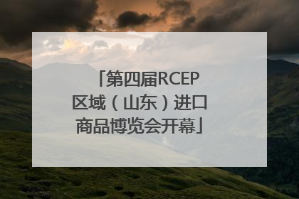 第四届RCEP区域（山东）进口商品博览会开幕