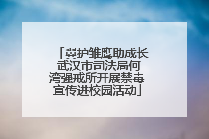 翼护雏鹰助成长 武汉市司法局何湾强戒所开展禁毒宣传进校园活动