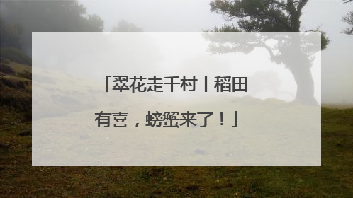 翠花走千村丨稻田有喜，螃蟹来了！