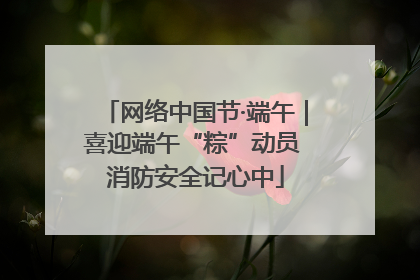 网络中国节·端午｜喜迎端午“粽”动员 消防安全记心中