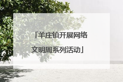 羊庄镇开展网络文明周系列活动