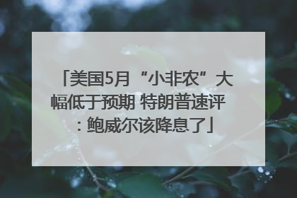 美国5月“小非农”大幅低于预期 特朗普速评：鲍威尔该降息了