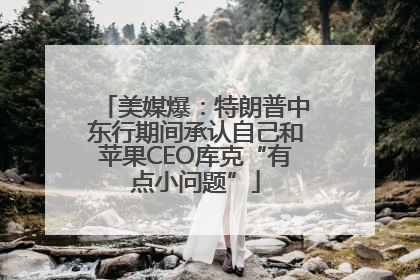 美媒爆：特朗普中东行期间承认自己和苹果CEO库克“有点小问题”