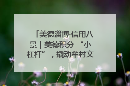 美德淄博·信用八景｜美德积分 “小杠杆”，撬动牟村文明 “大能量”