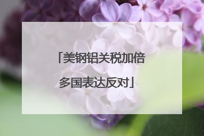 美钢铝关税加倍 多国表达反对