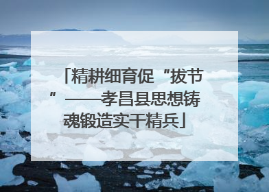 精耕细育促“拔节”——孝昌县思想铸魂锻造实干精兵