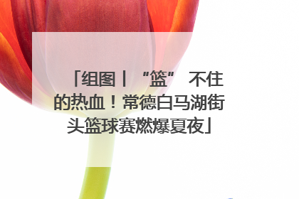 组图丨“篮” 不住的热血！常德白马湖街头篮球赛燃爆夏夜