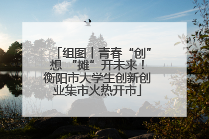 组图丨青春“创”想 “摊”开未来！衡阳市大学生创新创业集市火热开市