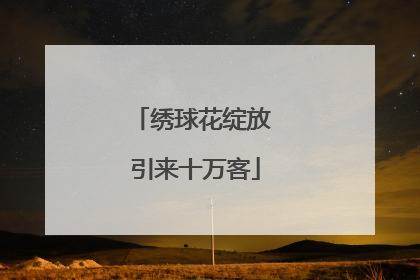 绣球花绽放 引来十万客
