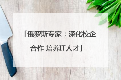 俄罗斯专家：深化校企合作 培养IT人才